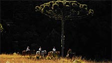 Viagens a cavalo no Rio Grande do Sul – canyons dos Aparados da Serra, Serra Gaúcha, Pampa e Lagoa do Peixe: Cambará do Sul,São José dos Ausentes, São Francisco de Paula, Jaquirana, Gramado e Canela