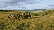 Cavalgadas na Serra Gaúcha, pelos Campos de Cima da Serra, entre Cambará do Sul, Jaquirana, São José dos Ausentes, São Francisco de Paula, Gramado e Canela