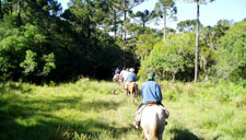 Turismo a cavalo no Rio Grande do Sul – Serra Gaúcha, Aparados da Serra, canyns, Lagoa do Peixe e Pampa: Cambará do Sul, São José dos Ausentes, Jaquirana, São Francisco de Paula, Gramado e Canela