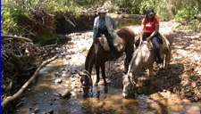 Viagens a cavalo nos Aparados da Serra e Serra Gaúcha, Pampa e Lagoa do Peixe; Cambará do Sul, São José dos Ausentes, São Francisco de Paula, Jaquirana, Gramado e Canela