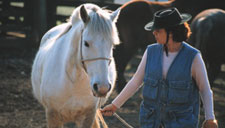 Turismo equestre nos Aparados da Serra e Serra Gaúcha, em Cambará do Sul, São José dos Ausentes, São Francisco de Paula, Jaquirana, Gramado e Canela