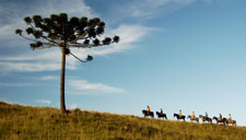 Cavalgadas na Serra Gaúcha, pelos Campos de Cima da Serra, no Rio Grande do Sul; Cambará do Sul, São José dos Ausentes, São Francisco de Paula, Jaquirana, Gramado e Canela. De dois a sete dias, diárias a partir de R$350,00.