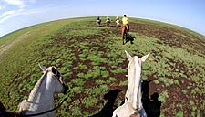 Cavalgadas na Lagoa do Peixe, a restinga litorânea do Rio Grande do Sul: santuário de aves migratórias; viagem a cavalo e birdwatching
